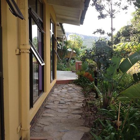 Jungle Monkey Backpackers Hostel Port Saint John's Bagian luar foto