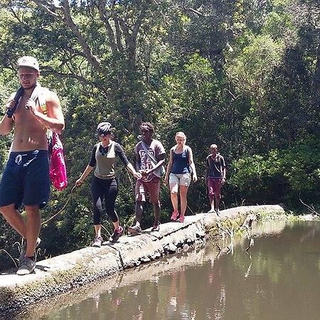 Jungle Monkey Backpackers Hostel Port Saint John's Bagian luar foto