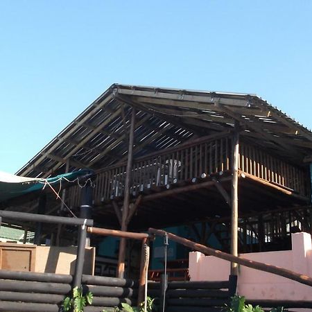 Jungle Monkey Backpackers Hostel Port Saint John's Bagian luar foto