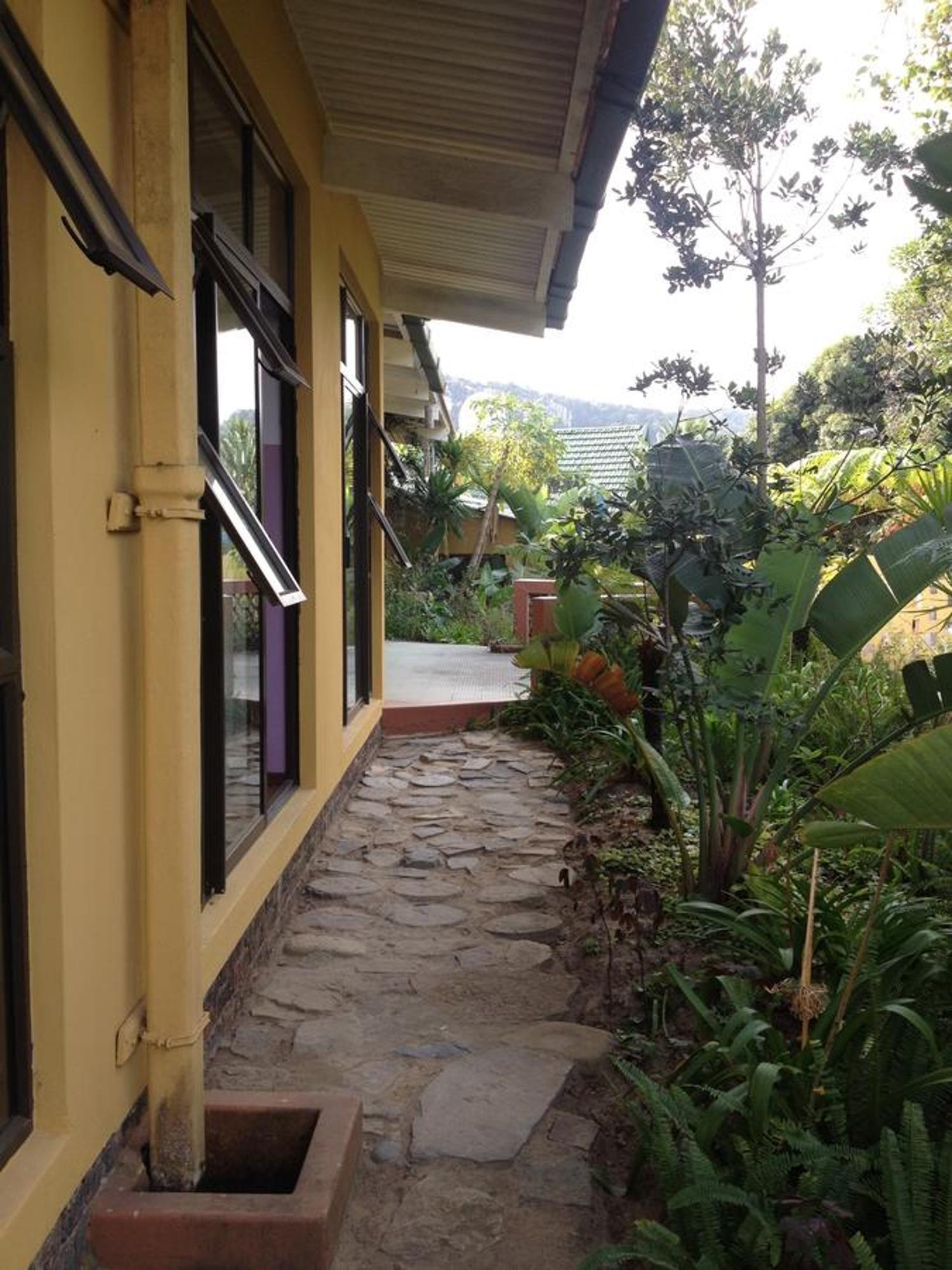 Jungle Monkey Backpackers Hostel Port Saint John's Bagian luar foto