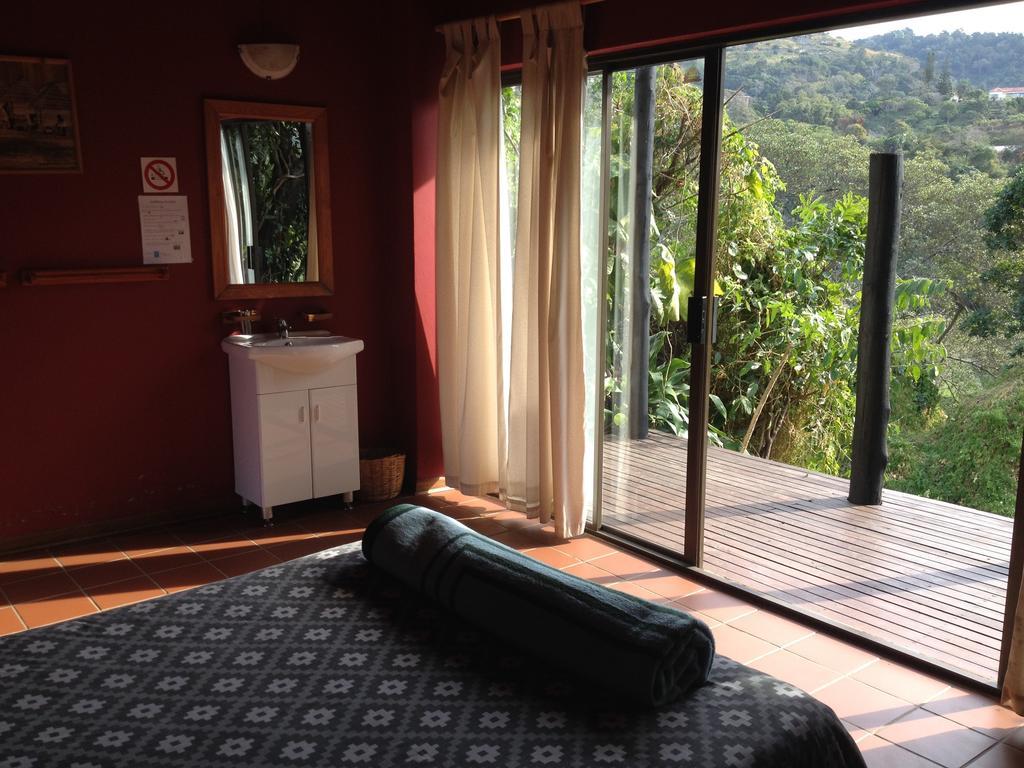 Jungle Monkey Backpackers Hostel Port Saint John's Ruang foto