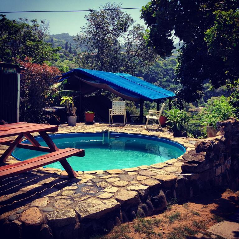Jungle Monkey Backpackers Hostel Port Saint John's Ruang foto