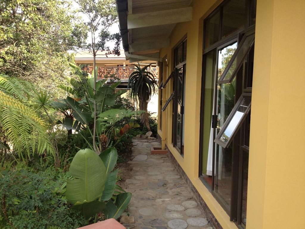 Jungle Monkey Backpackers Hostel Port Saint John's Ruang foto
