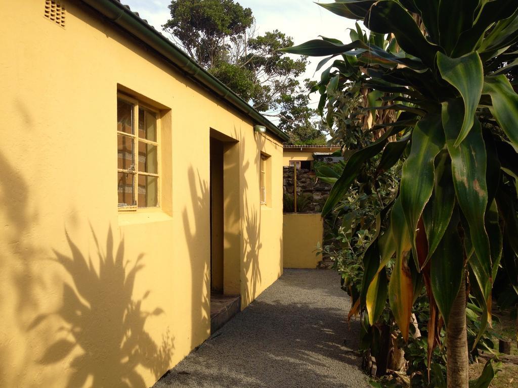 Jungle Monkey Backpackers Hostel Port Saint John's Ruang foto