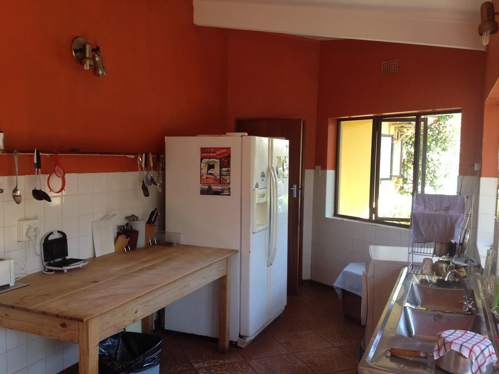 Jungle Monkey Backpackers Hostel Port Saint John's Bagian luar foto