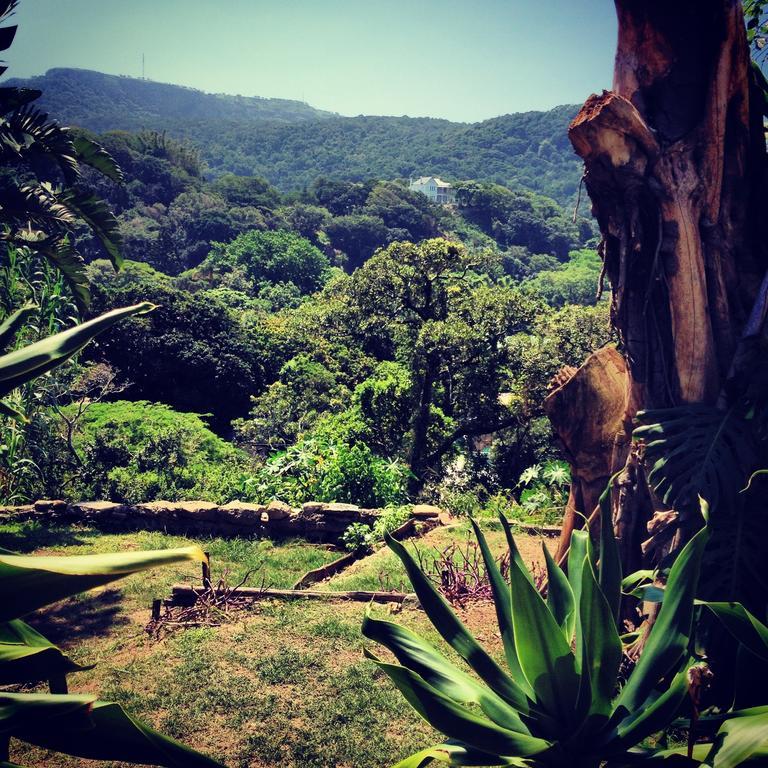 Jungle Monkey Backpackers Hostel Port Saint John's Bagian luar foto