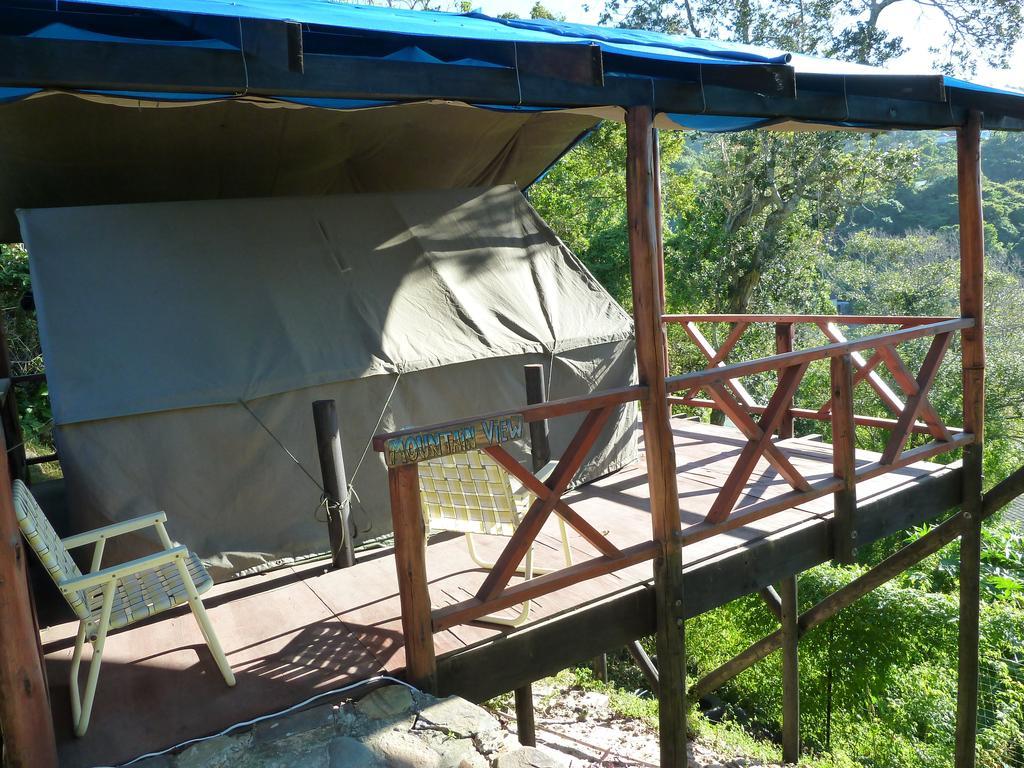 Jungle Monkey Backpackers Hostel Port Saint John's Ruang foto