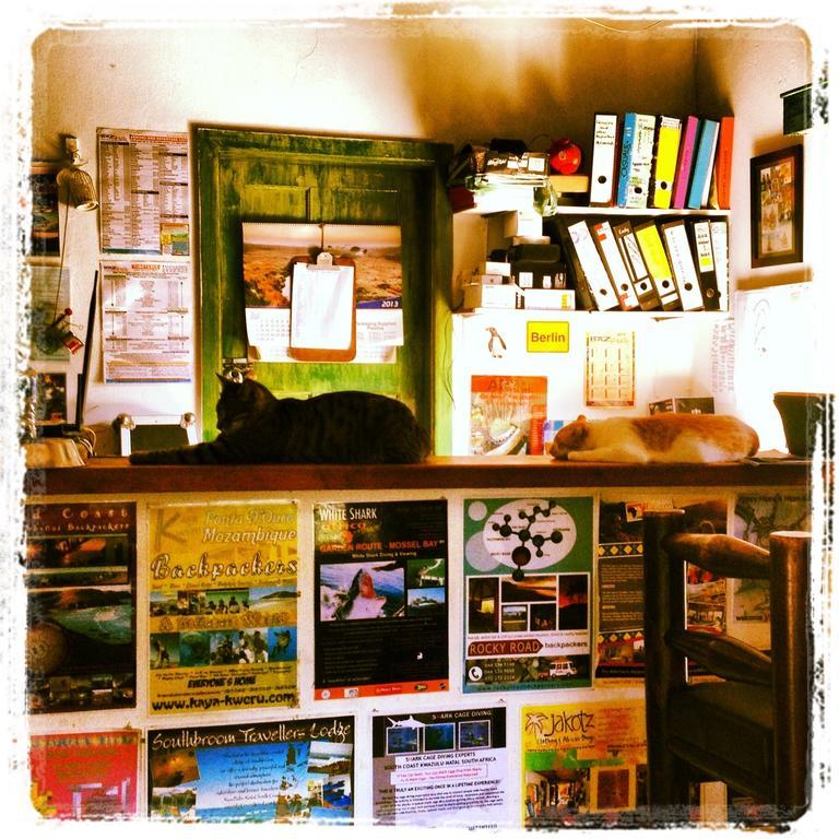 Jungle Monkey Backpackers Hostel Port Saint John's Bagian luar foto