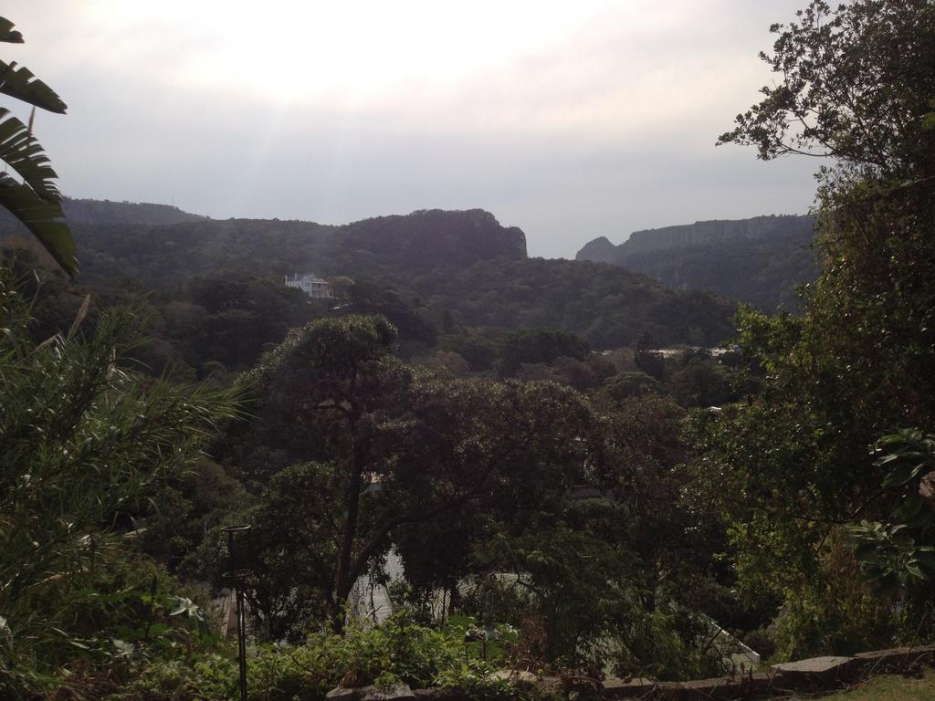Jungle Monkey Backpackers Hostel Port Saint John's Ruang foto