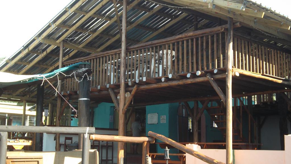 Jungle Monkey Backpackers Hostel Port Saint John's Bagian luar foto